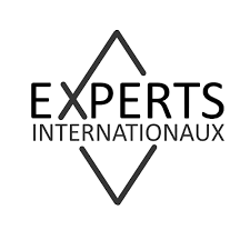 Experts internationaux (chercheurs, représentants d’institutions internationales, d’ONG etc)