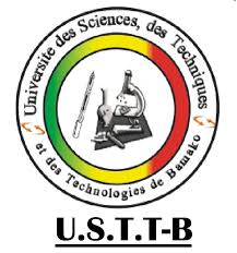 Techniques et des Technologies de Bamako