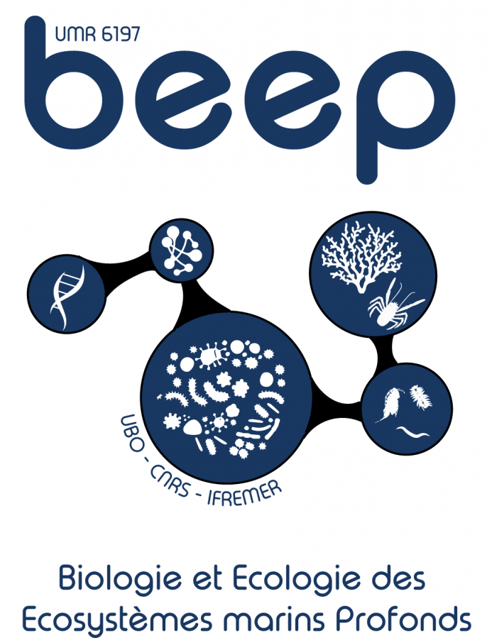 ANR Beep